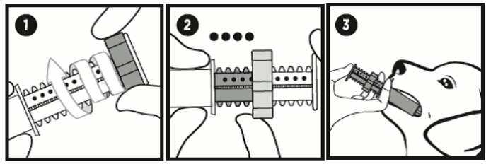 Anwendung Carbodote Repeat.png