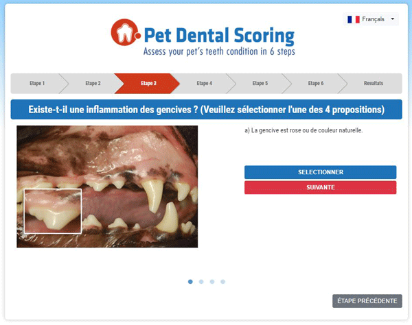 Pet-Dental-Scoring-fr.png
