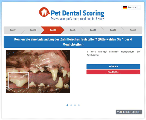 Pet-Dental-Scoring.png