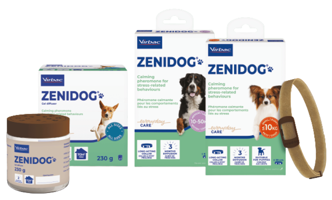 Zenidog-web.png