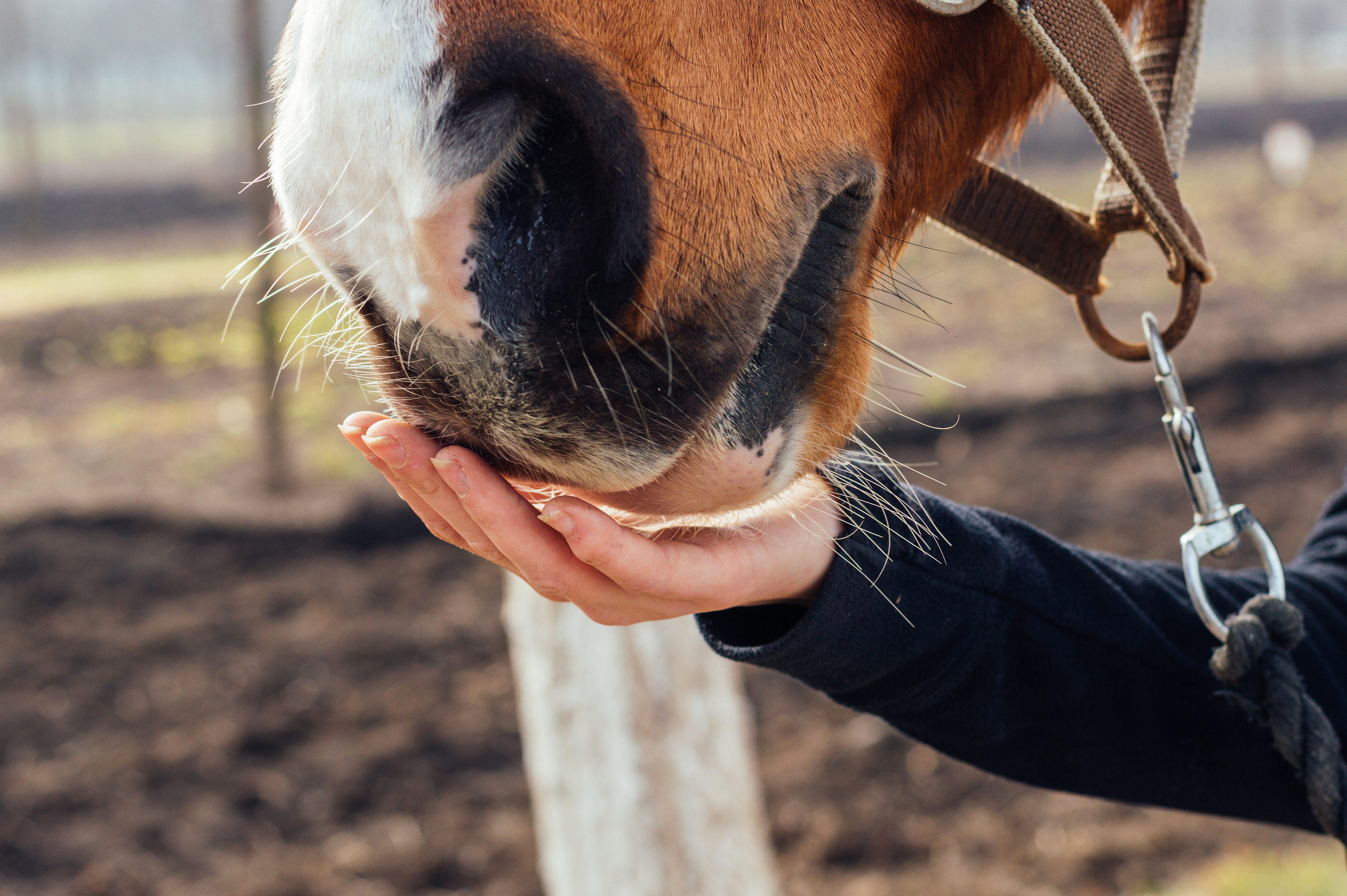 AdobeStock_113587154.jpeg