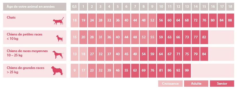 Alterstabelle Hund Katze fr.JPG