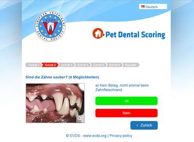 Startseite Pet Dental Scoring.jpg