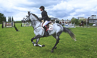 App für verbotene Substanzen