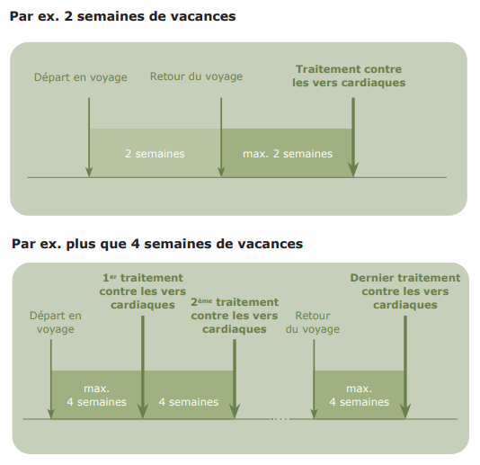 Dirofilariose Wochenschema fr.png