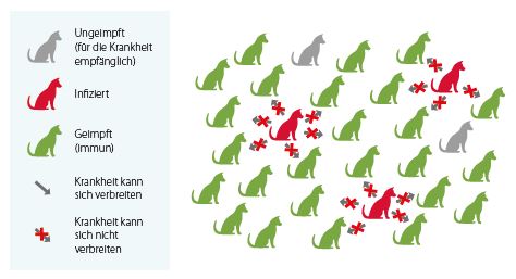 PopulationHund1dt.JPG
