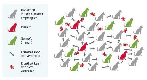 PopulationHund2dt.JPG