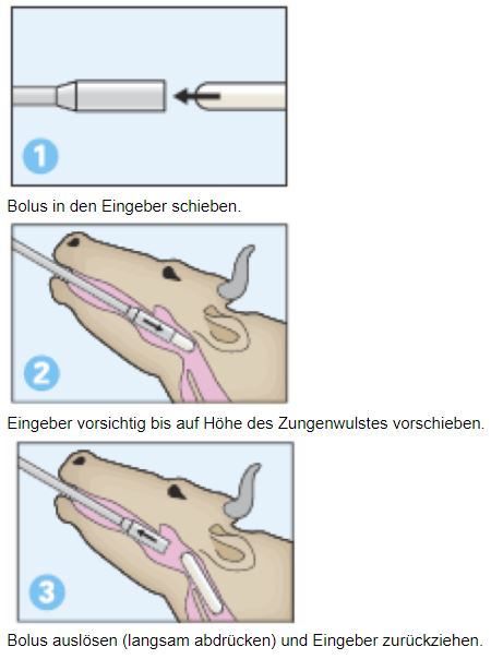 Anwendung Calcium Bolus D3 dt.JPG
