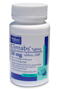 Clintabs Clindamycin Hydrochloride Tablets